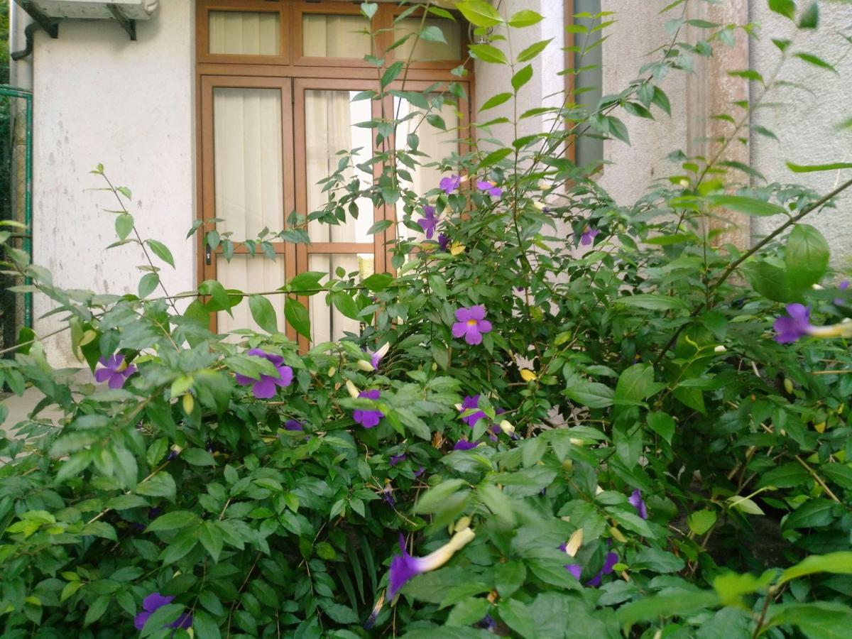 Walse Park Residence 캔디 외부 사진